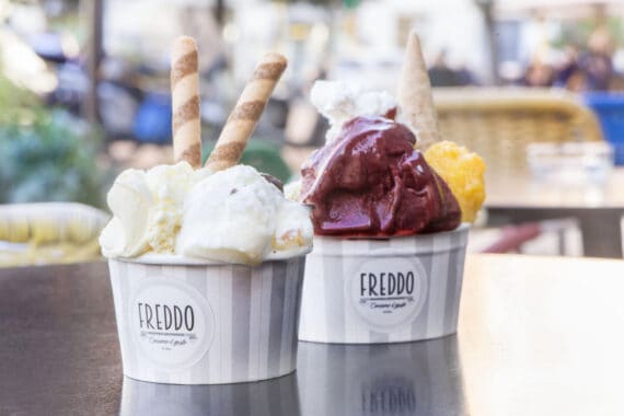 freddo gelato gelateria roma