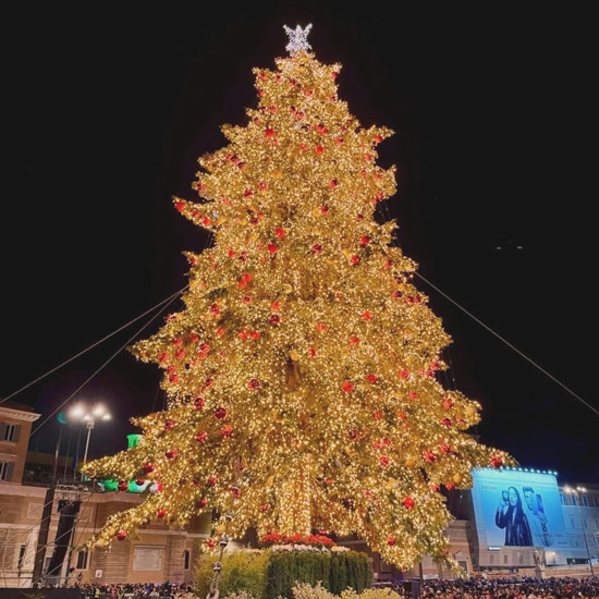 christmas tree piazza del popolo rome